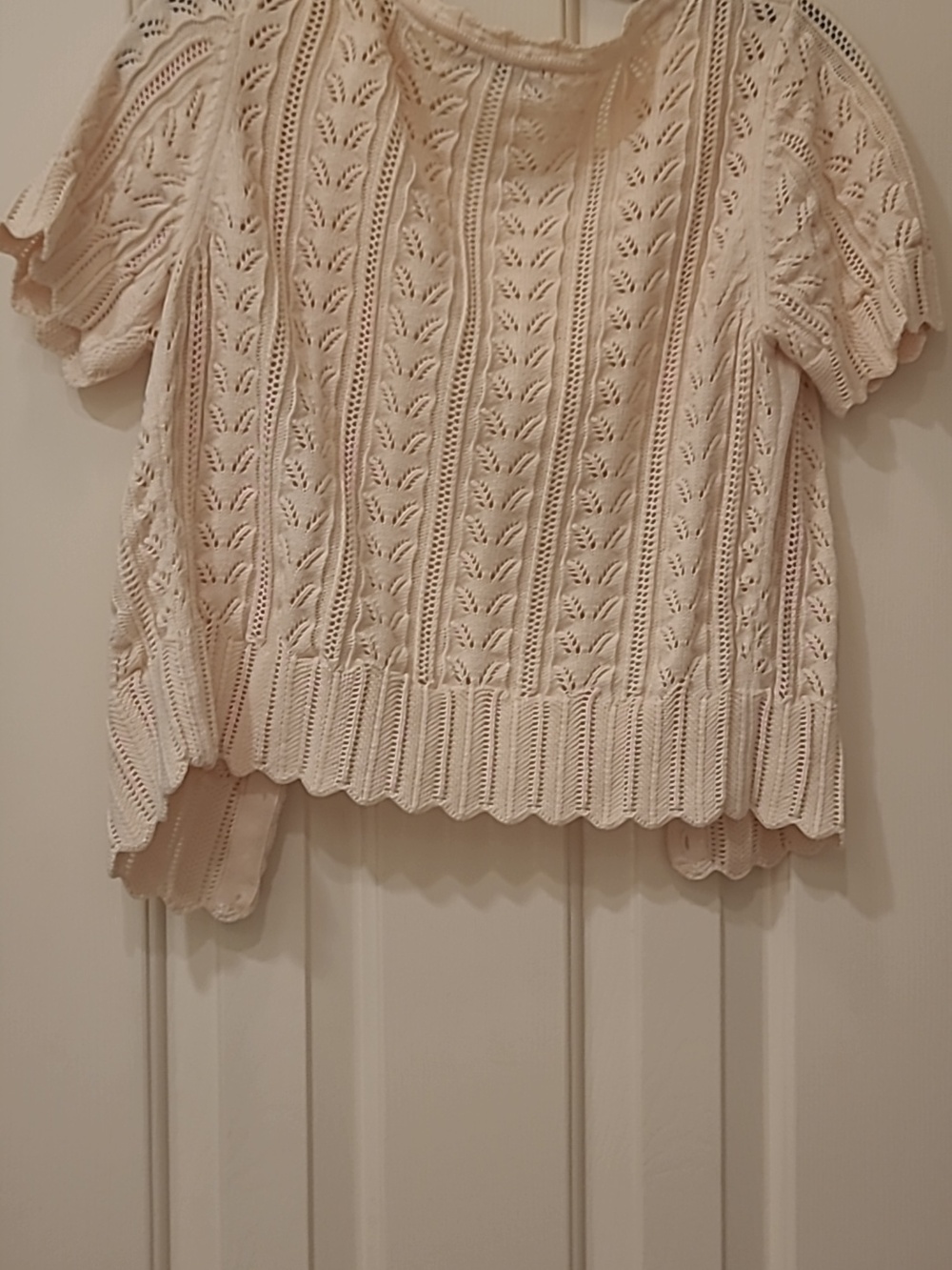 Susan Bristol Short-Sleeve Cardigan - Cream - Picture 5 of 5